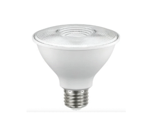 Bombillo LED Par30 9W